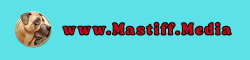 Logotype